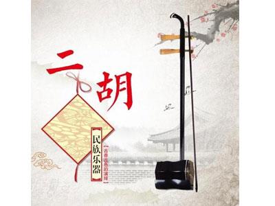 招聘贵港二胡家教老师